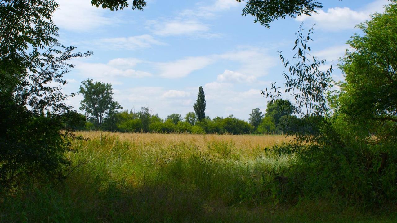Ferienwohnung Fuchsberge Letschin Exterior foto
