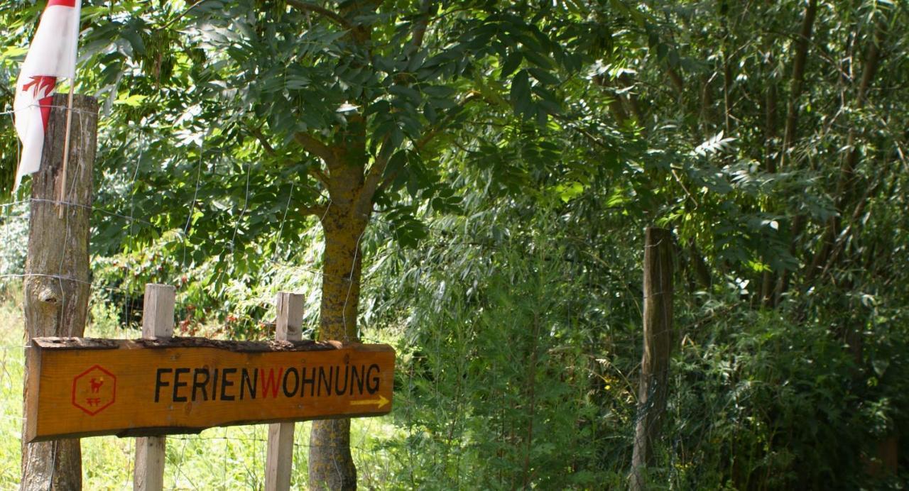 Ferienwohnung Fuchsberge Letschin Exterior foto
