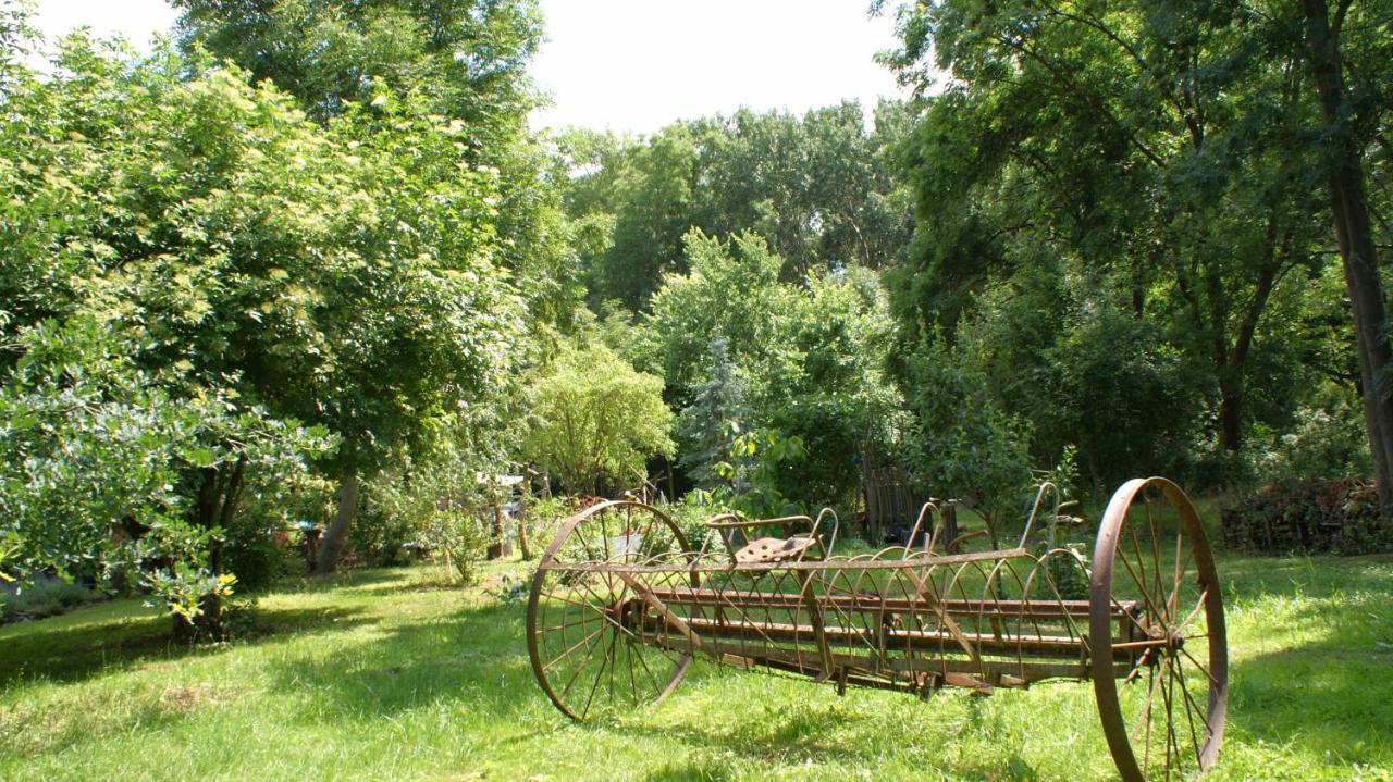 Ferienwohnung Fuchsberge Letschin Exterior foto